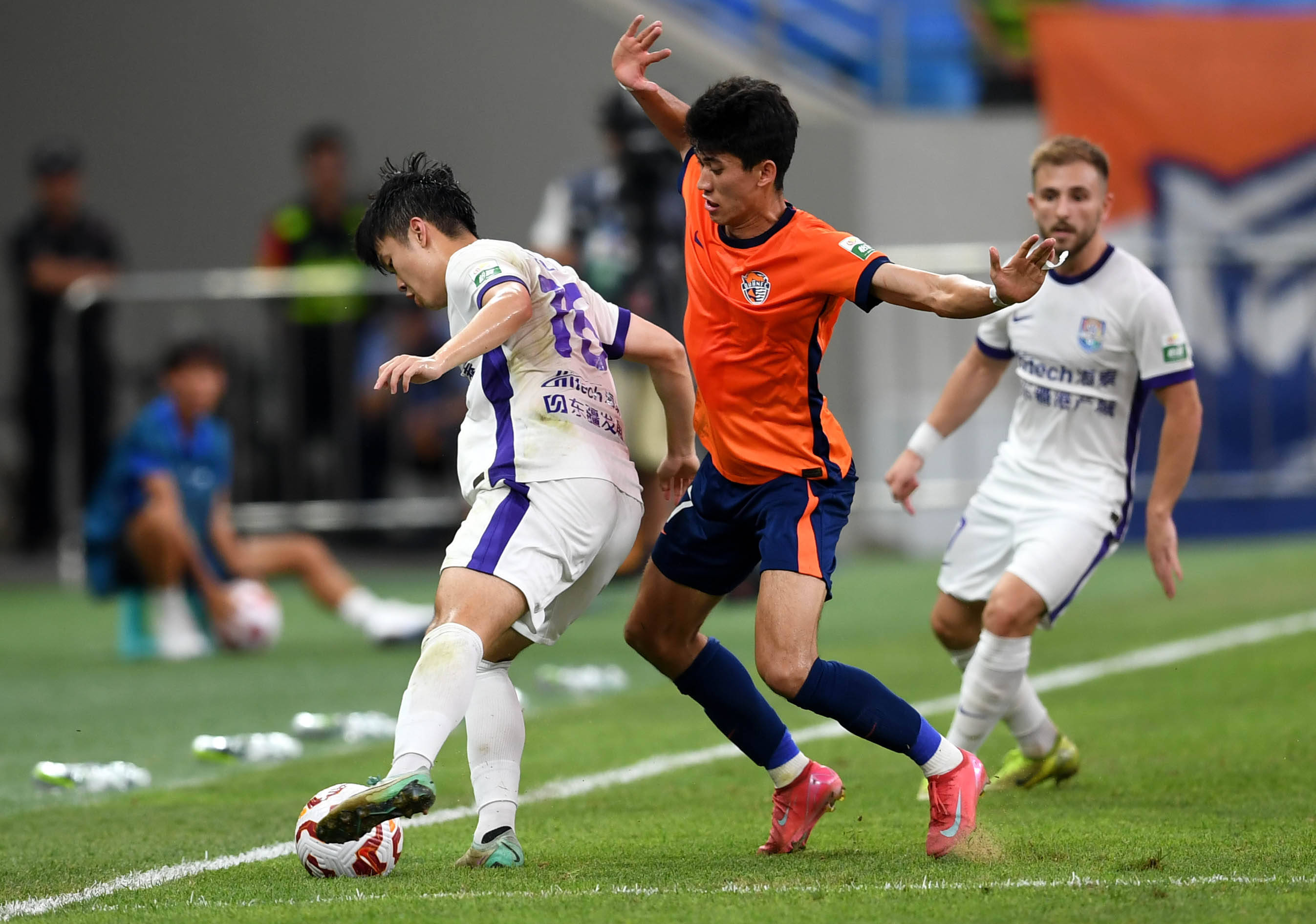 数量极为有 数量极为有